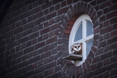 Kerkuil; Barn Owl; Tyto alba