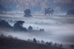 Landschap Veluwezoom; Landscape Veluwezoom