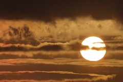 Zonsopkomst; Sunrise; Solis ortus